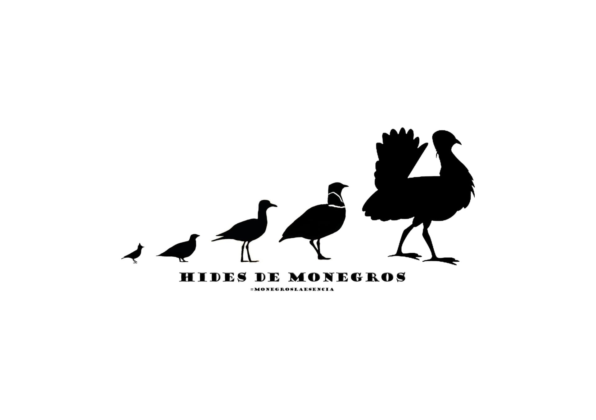 Hides de Monegros