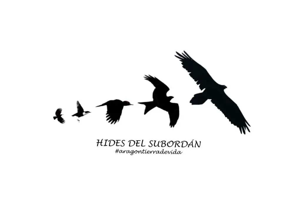 Hides del Subordán